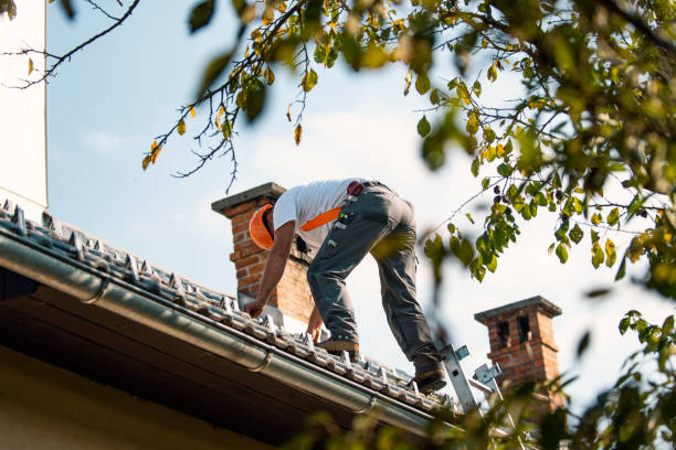 Best Storm Damage Roof Repair  in Bort, GA