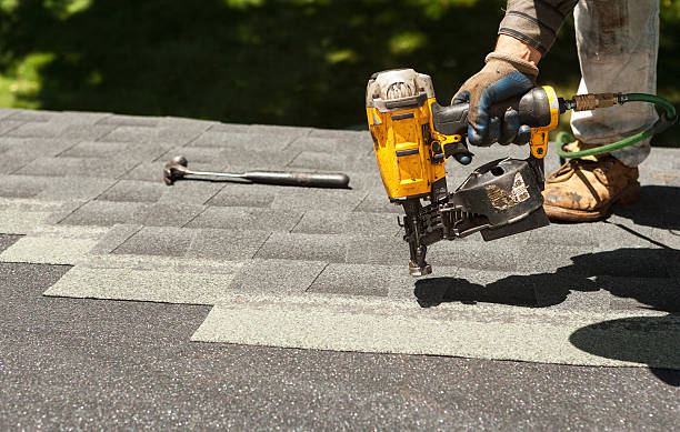 Best Roof Gutter Cleaning  in Bort, GA
