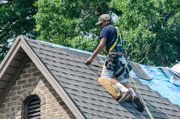 Best Roof Restoration Services  in Bort, GA